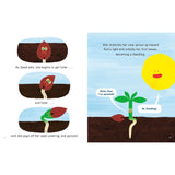 When Tree Became a Tree