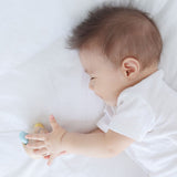 PlanToys Peek-a-Boo Roller