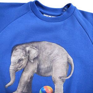 Molo Baby Disc Sweatshirt ~ Shallow Sea