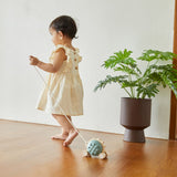 PlanToys Pull-Along Hedgehog