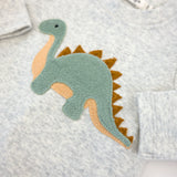 Oh Baby! Terry Dinosaur 2pc Set ~ Heather Gray