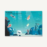 Magnetology: Ocean