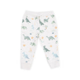 Angel Dear French Terry Zip Hoodie & Jogger Set ~ Soft Dinos