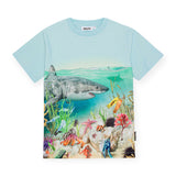 Molo Roxo s/s Tee ~ Shore Life