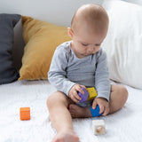 PlanToys Activity Blocks