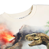 Molo Miksi Sweatshirt ~ Hot Spring Dinos