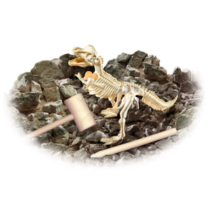 Toysmith Smithsonian Diggin' Up Dinosaurs ~ T-Rex