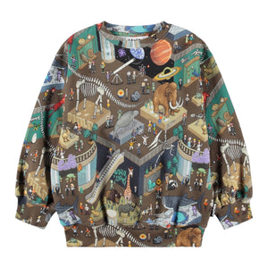 Molo Monti Sweatshirt ~  Pixeleum
