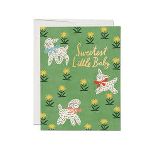 Red Cap Cards Little Lamb Baby Card