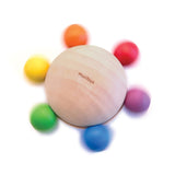 PlanToys Pull & Grasp Toy