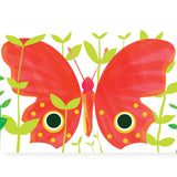 Little Seed