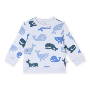 Stella McCartney Baby Boy Whale Sweatshirt & Shorts Set ~ White Multi