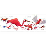 Hello Hello Colors Board Book