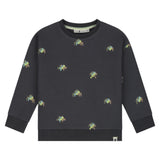 Babyface Boys Printed Sweatshirt ~ Antra