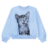 Molo Marge Sweatshirt ~ Blue Kitten