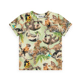 Molo Baby Easy Tee & Sammy Pant Set ~ Jungle Cubs/Misty Green