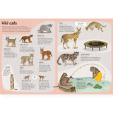 A Book of Cats: At Home with Cats Around the World