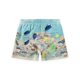 Molo Baby Neptune Rashguard & Niko Swim Trunks Set ~ Happy Ocean