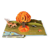 Leaves: An Autumn Pop-Up Book