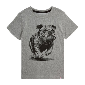 Appaman Boys Bulldog Graphic s/s Tee ~ Grey Heather