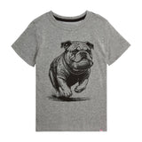 Appaman Boys Bulldog Graphic s/s Tee ~ Grey Heather