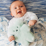 FLATOUTbear Baby Teddy Bear ~ Bluey