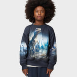 Molo Mattis Sweatshirt ~ Twilight Dinos