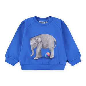 Molo Baby Disc Sweatshirt ~ Shallow Sea