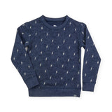 Appaman Boys Revel Crewneck Sweatshirt ~ Washed Navy