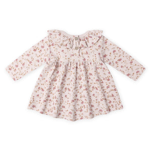 Quincy Mae Ruffle Collar l/s Dress ~ Garden/Lilac