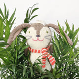 Blabla Knit Doll ~ Pierre the Bunny