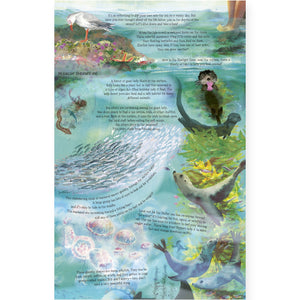 The Sea Below My Toes