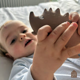 Petit Jour Paris Natural Rubber Teether & Bath Toy ~ Hedgehog