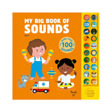 My Big Book Of Sounds