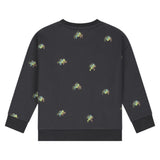Babyface Boys Printed Sweatshirt ~ Antra