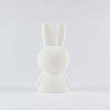 Miffy & Friends Bundle of Light Miffy Mini Nightlight