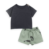 Play Up Baby Jersey Tee & Fleece Sweatshorts Set ~ Carbon/Iguanas