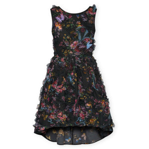 Hannah Banana Butterfly High-Low Hem Mesh Dress ~ Black Multi