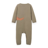 Elegant Baby Knit Romper ~ Dinosaur