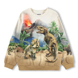 Molo Miksi Sweatshirt ~ Hot Spring Dinos