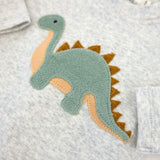 Oh Baby! Terry Dinosaur 2pc Set ~ Heather Gray