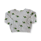Oh Baby! Dinosaur Print Terry Boxy Sweatshirt ~ Heather Gray