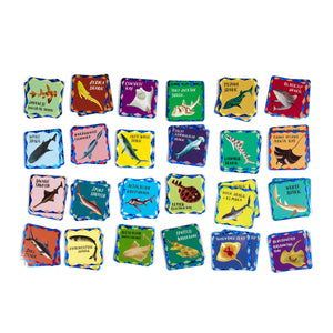 eeBoo Sharks & Friends Shiny Memory & Matching Game