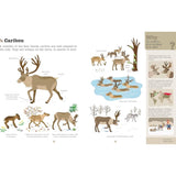 Do You Know? Polar Animals and Other Cold-Climate Creatures