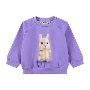 Molo Baby Disc Sweatshirt & Simeon Sweatpants Set ~ Buddies