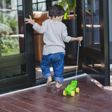 PlanToys Dancing Alligator