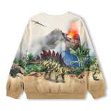 Molo Miksi Sweatshirt ~ Hot Spring Dinos