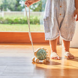 PlanToys Pull-Along Hedgehog