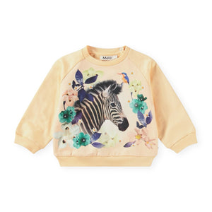 Molo Baby Disc Sweatshirt & Simeon Sweatpants Set ~ Floral Zebra/Lovely Floral