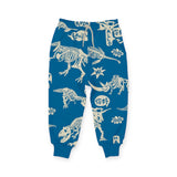Rock Your Kid Hello Dino Sweatshirt & Sweatpants Set ~ Blue
